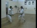 KARATE CALTANISSETTA HEIAN SANDAN BUNKAI (14)