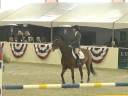 Cerena in the Modified Junior Amateur Stake at Sacremento Horse Show
