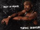 2pac   all eyez on me  og vibe 
