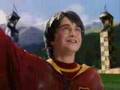 harry potter and the sorcerer's stone~ chipmunk addition