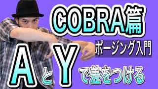 MST – 【ポージング入門】COBRA篇 AとYのスタイリング / poppin animation 入門