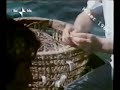 la-canzone-dellamore-perduto.html