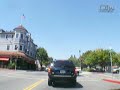 Clips : Larkspur 01