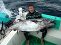 Dogtooth Tuna Spearfishing World Record