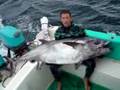 Dogtooth Tuna Spearfishing World Record