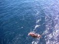 Toni Miernik in Fiji wanataki dive