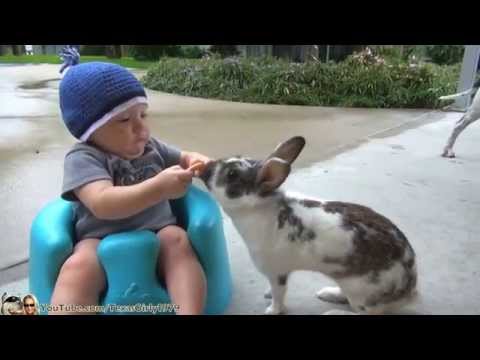 Play YouTube video