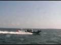 videos de Wolf around the Fastnet