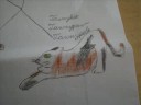 Warrior cats Tribute