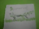 Warrior cats Tribute