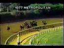 Forego - 1977 Met. Hdcp. (Handicap Horse Of Year 1974-1977)