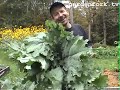 white bean soup is easy to make and tastes great. watch as eric shows you how. visit our community site for more info http://gardenfork.tv