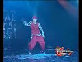 踊る犬動画