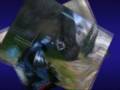 videos de Minitage.wmv