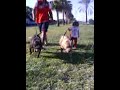 Click here to watch this video $-BEACH BULLY KENNEL-$ MOJACAR BEACH