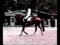 Sassy--SOLD--through Calzone Sporthorse MarketingAmerican Warmblood Dressage HorseCompeting at Third Level and Schooling Fourth Level MovementsContact: Mary Alice Edwardsmedwardz@bellsouth.net