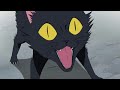 Video de Naruto Shippuden 186: La mala suerte.
