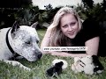 nap time : 3 chicks   pit bull