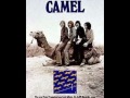 Framptons Camel