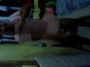 karot dancing