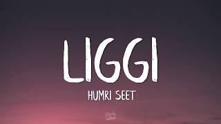 Ritviz - Liggi (Lyrics)  Humri seet