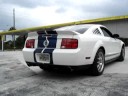 Shelby - Gas