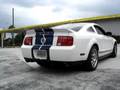 Shelby - Gas