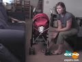 Chicco C6 Stroller