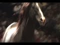 attention savvy seekers 

join linda & pat parelli as they present their mission to raise the level of horsemanship worldwide by helping people reveal their horse, discover their potential, and live their dream.

you will see experience confidence, joy, fun, excellence, performance, answers to problems... in fact, an absence of problems...! it doesn't matter what you want to 