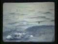 Lobsters & Clams - Quahog Bay, ME ~ 1958