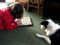 Dog Plays Board Game With Little Girl - animals, board game, dog, kids, pets, playing