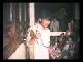 hoa tim bang lang