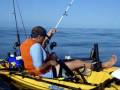 YouTube - Kayak Cobia May 2008