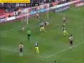 steve howard tribute