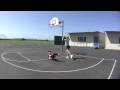 Talentoso perro jugando basketball