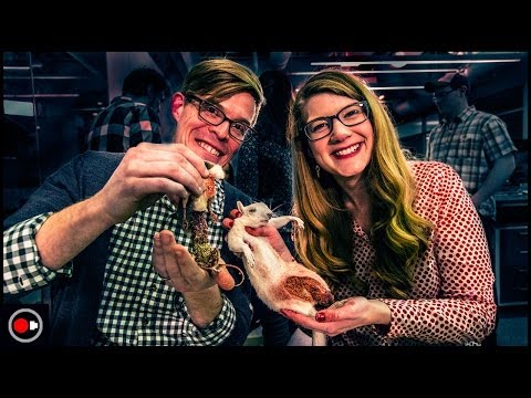 how to skin a squirrel for the skin
