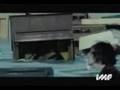 Augustana Boston w/Lyrics