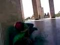 videos de pelea en el monumento