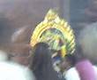 Amman Thaladhu at Ruthra Kaliamman Temple