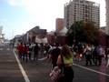 videos de LA Parrot Head Memory Walk-Oct 5, 2008