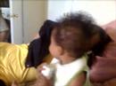 the beautifullest baby in the world