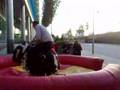 Bucking Bronco