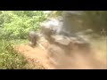Honda TRX450R vs Yamaha Raptor 700R