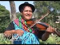 arbolito pinco pinco