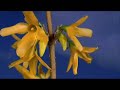 Самый Лучший Клип к 8 марта.wmv