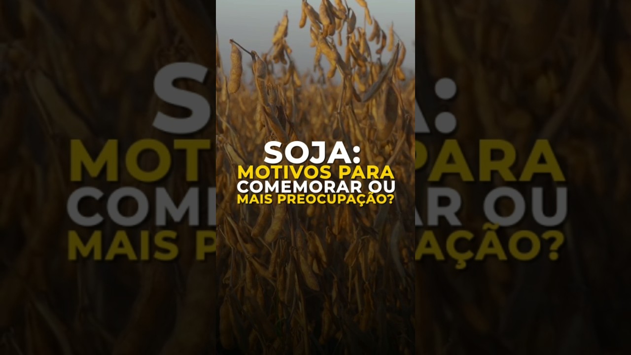 SOJA: MOTIVOS PARA COMEMORAR OU MAIS PREOCUPAÇÃO?
