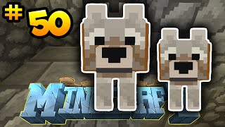 How to Minecraft: DOG XP GRINDER! (50) - w/PrestonPlayz