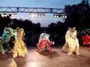 Danse du lion Danse du lion