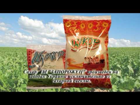 YouTube Трейлер