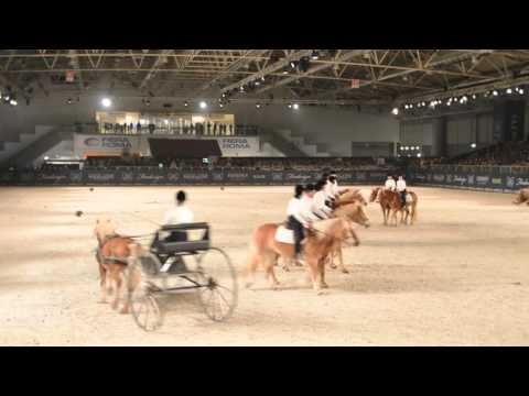 sito per incontrare amici youtube